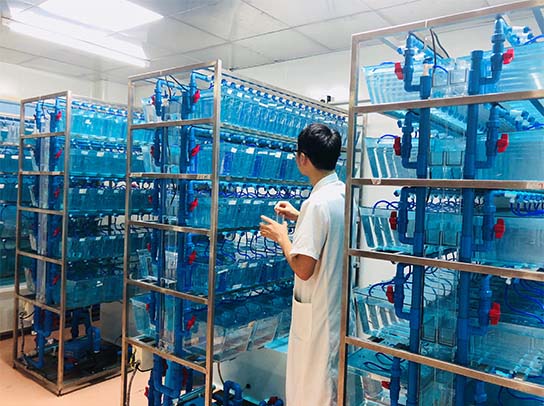 login_门徒娱乐_「爱生活,玩门徒」