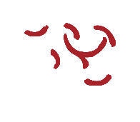 login_门徒娱乐_「爱生活,玩门徒」